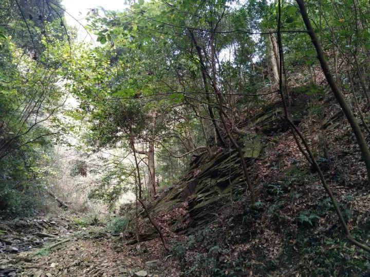 逗小猴开心系列201
