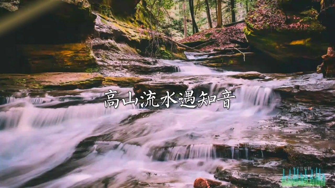 曾下山向村民求助的15岁大熊猫去世。工作人员:年龄偏大,因多器官衰竭去世
